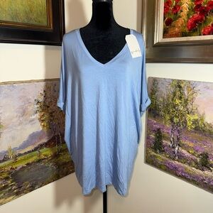 Wonderly Sky Blue V-Neck Short Sleeve Top